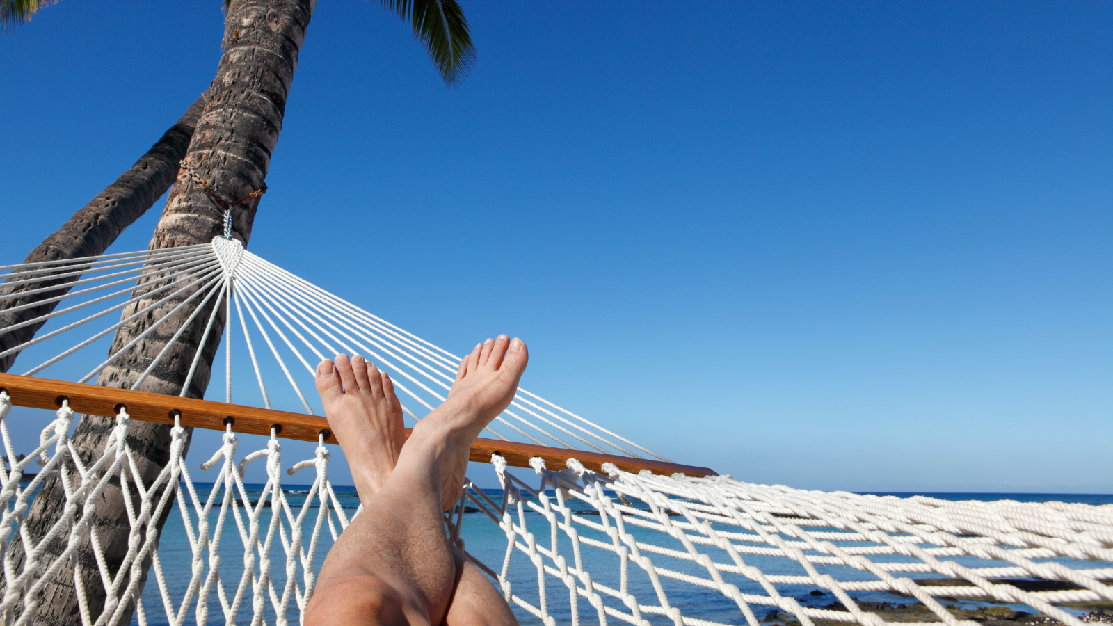 תכנון חופשה